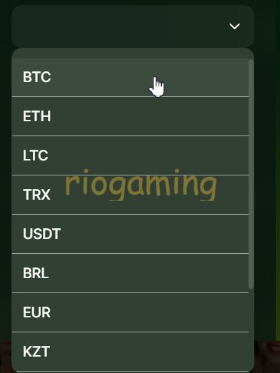 Выбор валюты при регистрации Riobet