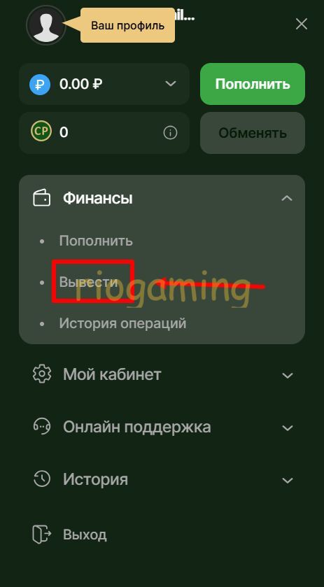 Кнопка вывода средств Riobet